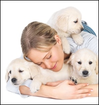 shutterstock 10390492