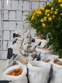 Image-13
