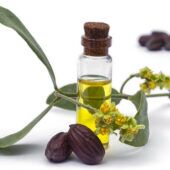 uleiul de jojoba