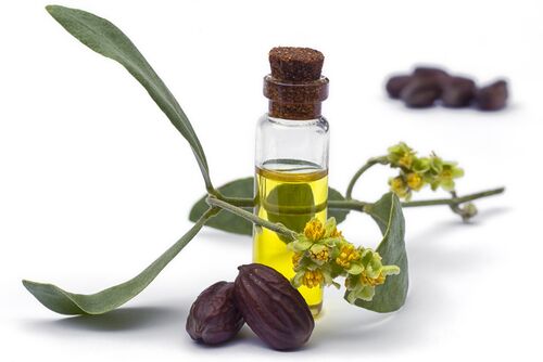 uleiul de jojoba