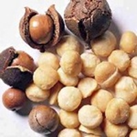 nuca macadamia