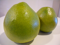 Pomelo