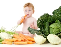 shutterstock 83223040