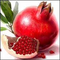 Rodie - informatii si beneficii | Tonica.ro