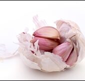 shutterstock 3448238 - usturoi
