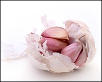 shutterstock 3448238 - usturoi