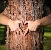 shutterstock 3744664