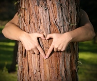 shutterstock 3744664