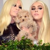 Lady Gaga imaginea Versace