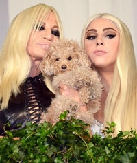 Lady Gaga imaginea Versace
