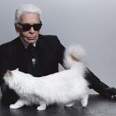 Karl Lagerfeld colectie-capsula inspirata de pisica sa