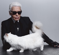 Karl Lagerfeld colectie-capsula inspirata de pisica sa