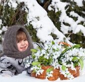 shutterstock 159432059