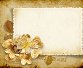 -0a0a0a0a0shutterstock_78038431