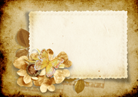 -0a0a0a0a0shutterstock_78038431