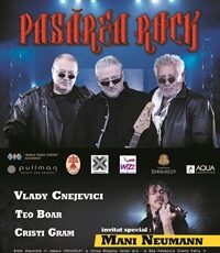 Pasarea Rock