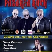 Pasarea Rock poster