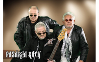 Concert Pasarea Rock
