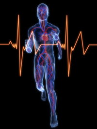 Lipsa activitatii fizice creste riscul de insuficienta cardiaca