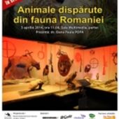 Poza sambata 5 aprilie