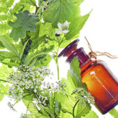 Utilizarea plantelor medicinale: de la inceputuri si pana astazi