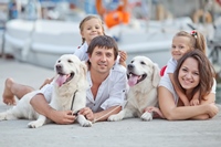 shutterstock 151727639