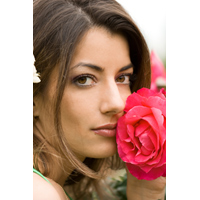 Uitare