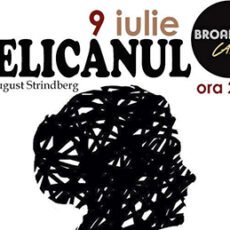 Pelicanul