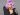 Lady Gaga socheaza din nou
