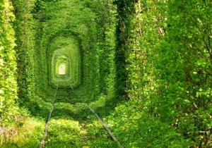 Tunelul Iubirii din România, inclus pe lista 