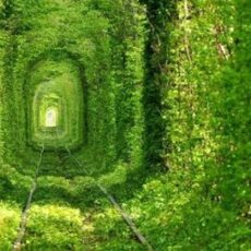 Tunelul Iubirii din România, inclus pe lista “comorilor ascunse” din Uniunea Europeana