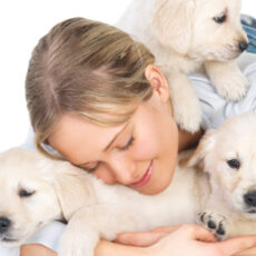 5 lectii pe care le putem invata de la animale
