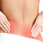 Fascia, organul secret