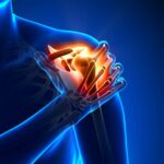 Fascia, organul secret