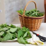 Postul Pastelui: de la detoxifiere fizica la purificare spirituala
