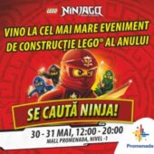Ziua Copilului, sarbatorita cu jocuri Lego