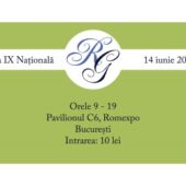 Raw Generation, din nou in Bucuresti