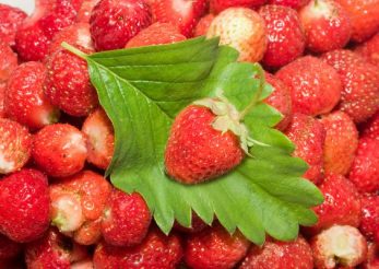 Fructe recomandate in dietele de slabire