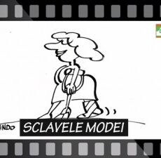 SCLAVELE MODEI – Ep. 14