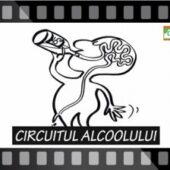 CIRCUITUL ALCOOLULUI Ep.18