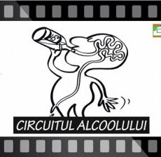 CIRCUITUL ALCOOLULUI Ep.18