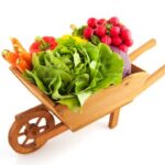 10 motive ca sa devii vegetarian