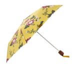 Accesorii vestimentare pentru zilele ploioase