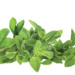 Alimente care anihileaza mirosul de usturoi