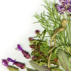 3 plante potrivite cu spiritul Craciunului