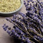 3 plante potrivite cu spiritul Craciunului