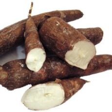 Ironia cassava: o leguma benefica, dar… toxica