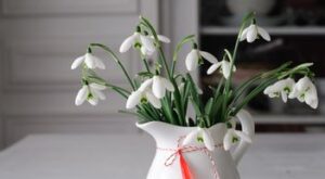Vestitorii primaverii si ai frumusetii