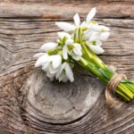 Vestitorii primaverii si ai frumusetii