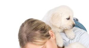 Jucariile si animalele de companie ne imbunatatesc starea